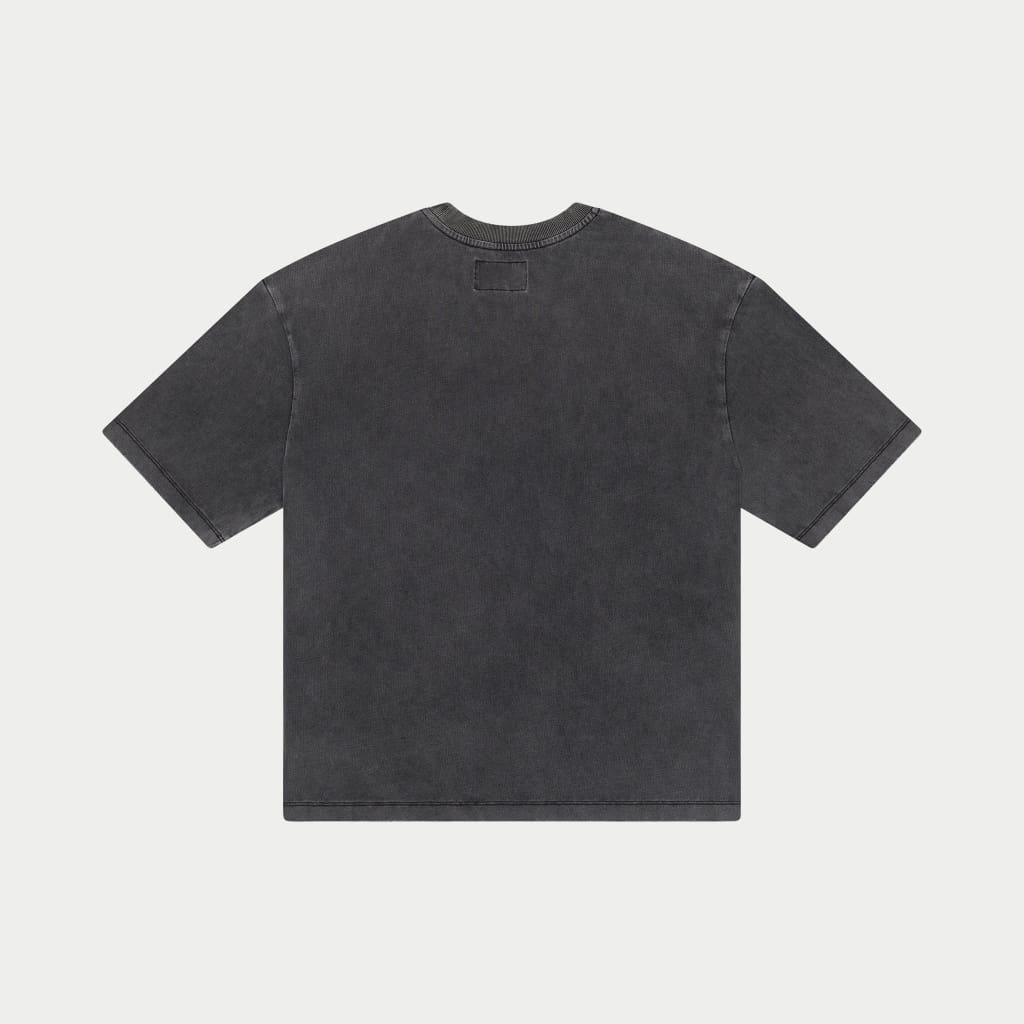 Sklobe T-Shirt (Grey Wash)